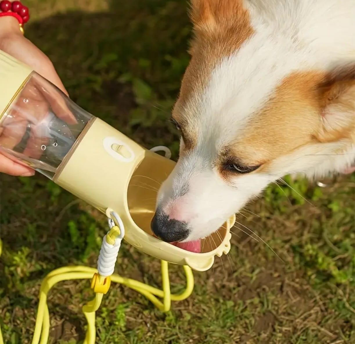 🐾 Botella Portátil de Agua para Perros – Bebedero de Viaje